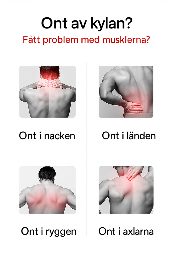 Smart Värmejacka – Universal Edition